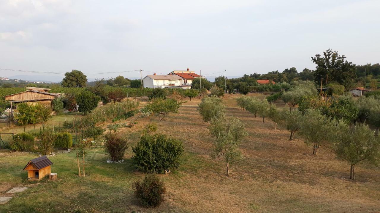 Villa House Barizoni Ankaran Exterior foto